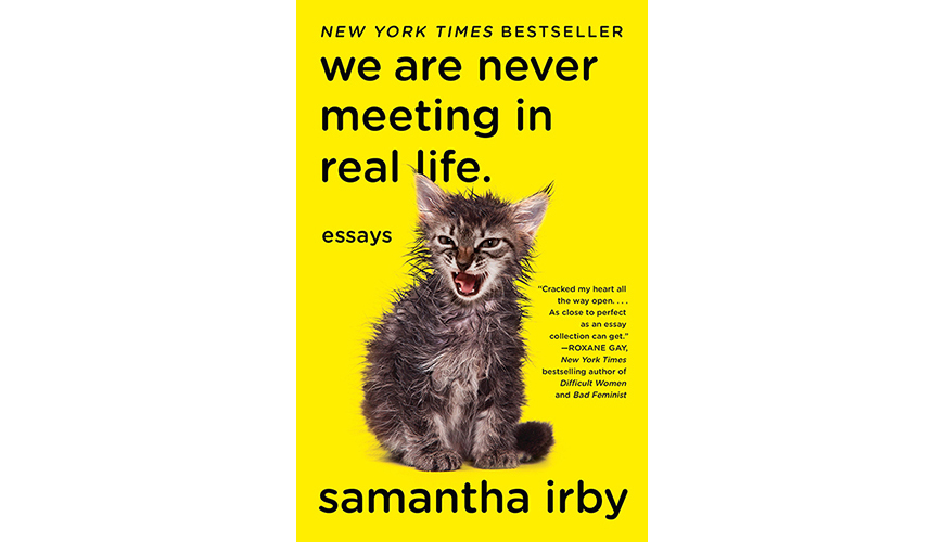 we are never meeting in real life book cover