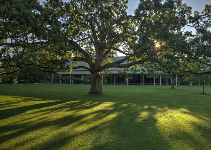 Lawn and Shed at Tanglewood