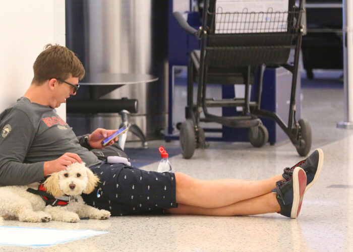 man in airport with dog, service animals on planes.