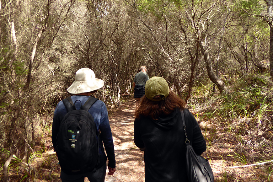 hikers on trail in tasmania.