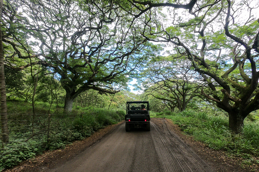 jeep ride over tropical forest in Hawaii