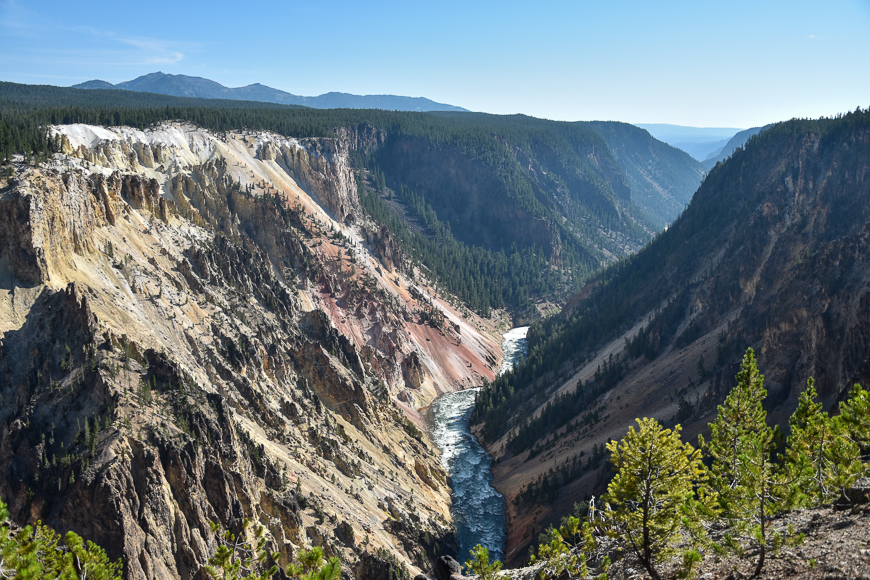 Landscape of Yellowstone River during a hike along the south rim trail at Yellowstone National Park  