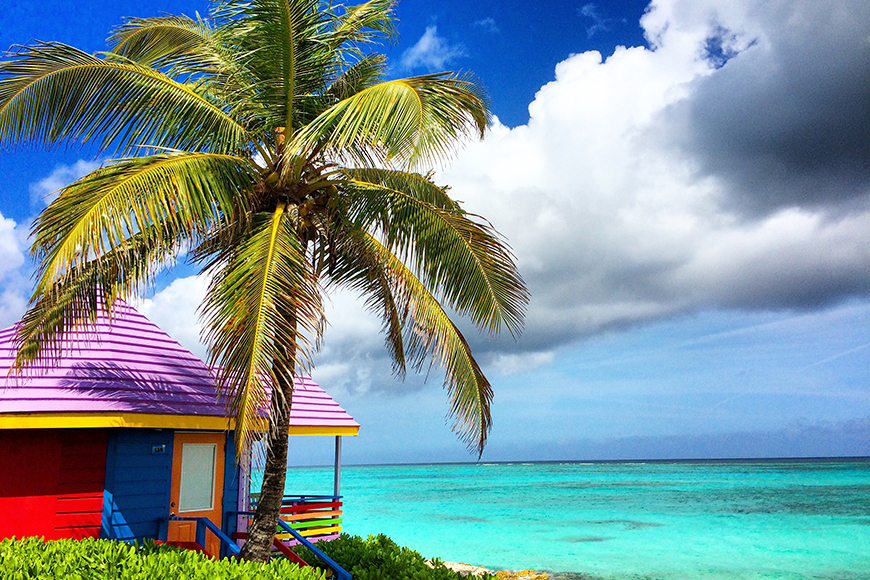 colorful house and palm tree in nassau.