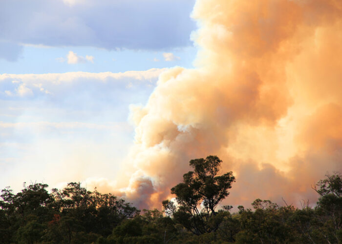 What Travelers Need to Know about the Australia Fires (and How to Help)