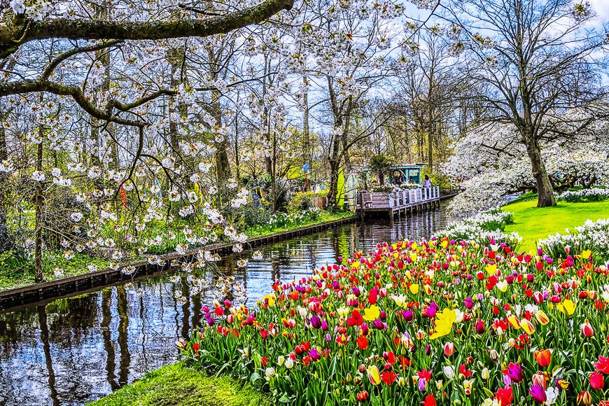 Keukenhof park of flowers and tulips in the Netherlands.