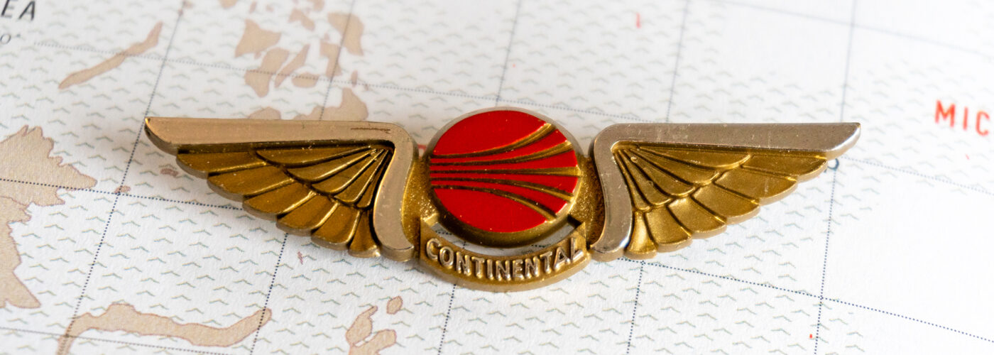 Turbulent Rise and Fall of the Kiddie Wing Pin.
