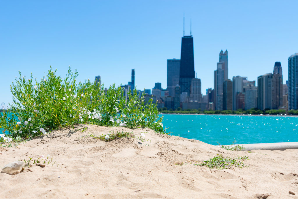 North Avenue Beach with Chicago Skyline in Background
