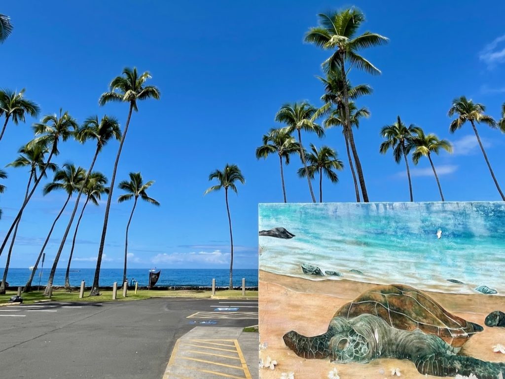 Palm trees surrounding a parking lot with a photo insert of a turtle resting on the beach