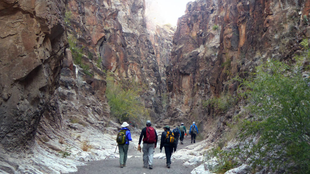Six hikers walking on a path with steep cliffs on either side