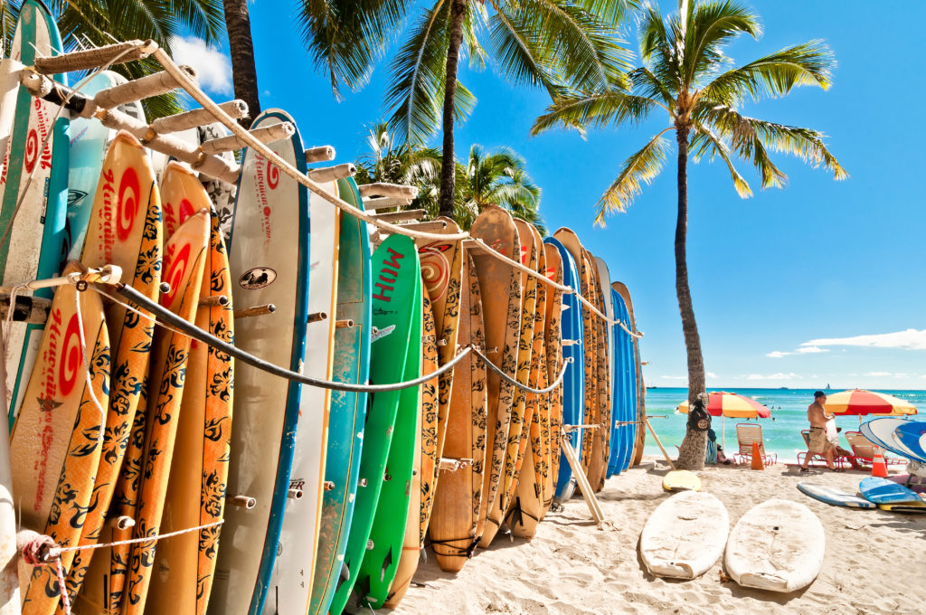Surfboards lined up on the beach in Hawaii, United States