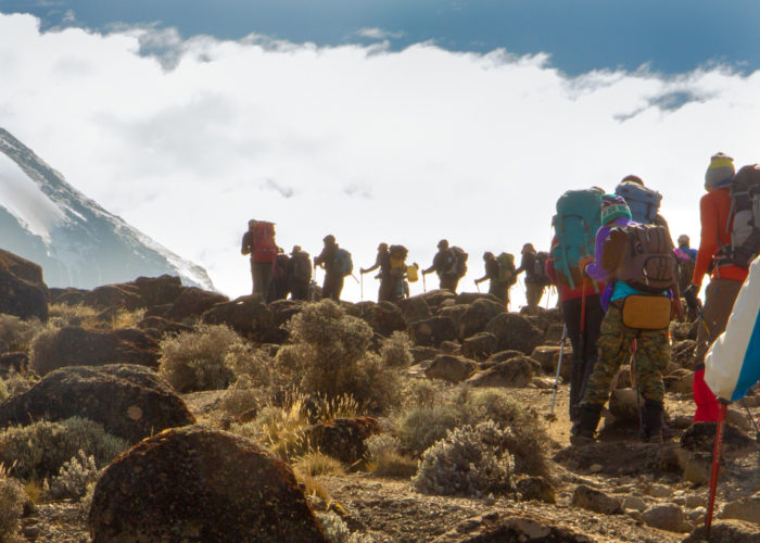 People climbing Mount Kilimanjaro on the Machame Route