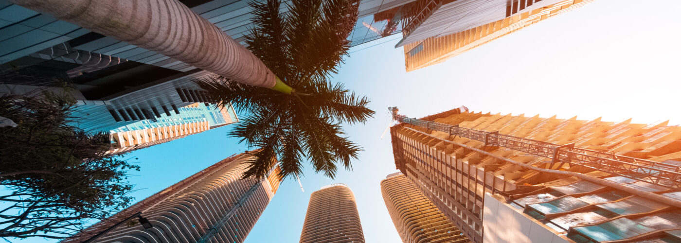 Skyscrapers and palm trees in downtown Miami as seen from below