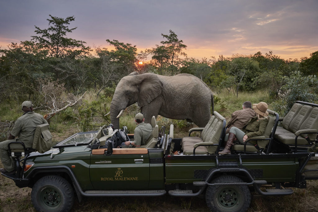 A safari car of people looking at an elephant from a close distance