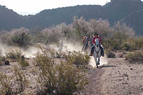 People riding horses in a desert setting at White Stallion Ranch in Tucson, Arizona