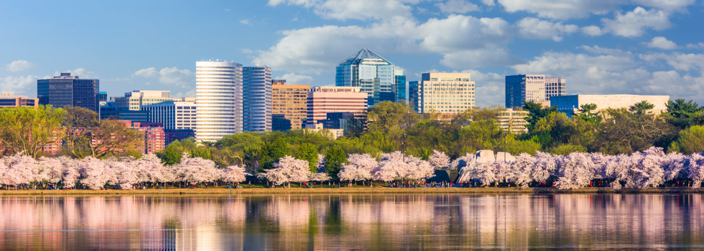 Skyline of Washington DC, United States in spring with cherry blossoms