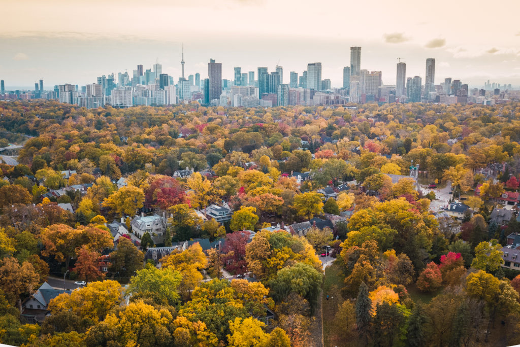 Toronto skyline as seen from a distance with a grove of colorful fall trees in the foreground interspersed with suburban buildings 