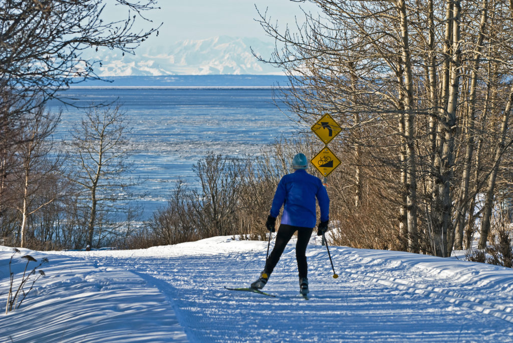 A woman, facing away from the viewer, cross county skiing down a snowy path toward the ocean