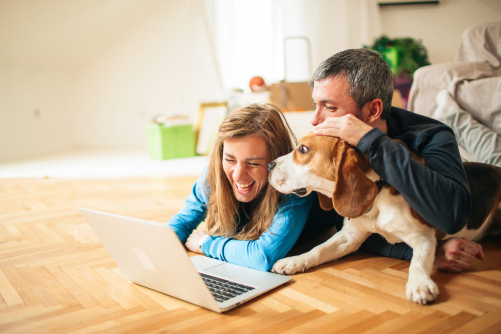 Couple looking at laptop on the floor with their dog