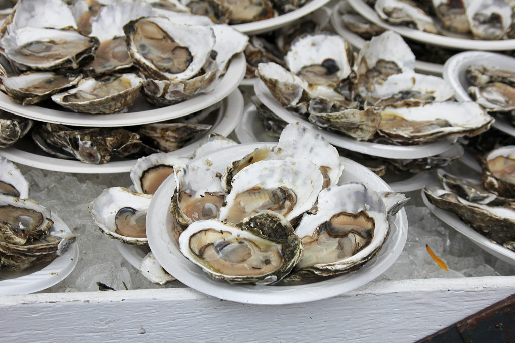 Shucked oysters from the Wellfleet Oyster Festival