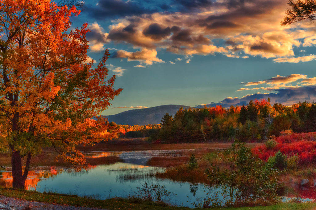 Lake in Acadia National Park surrounded by fall foliage