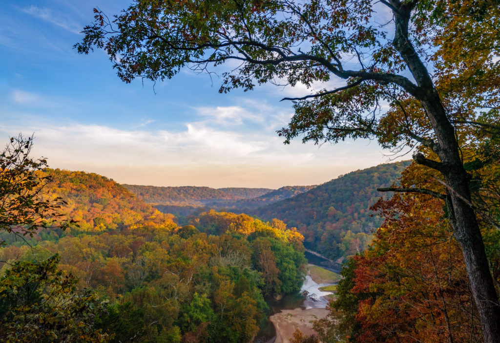 Vista of fall foliage at Mammoth Cave National Park, Kentucky