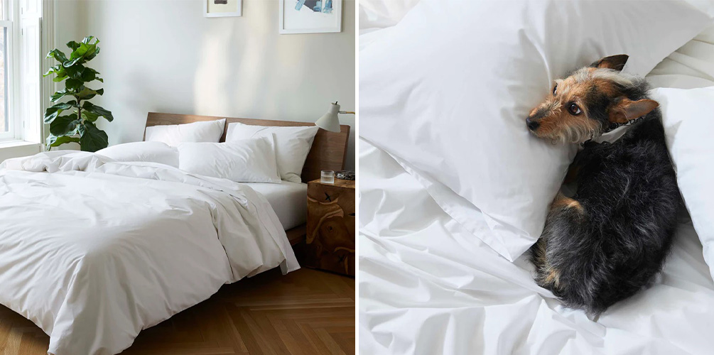 Bed made up with Brooklinen sheets (left) and small dog curled up on Brooklinen sheets (right)