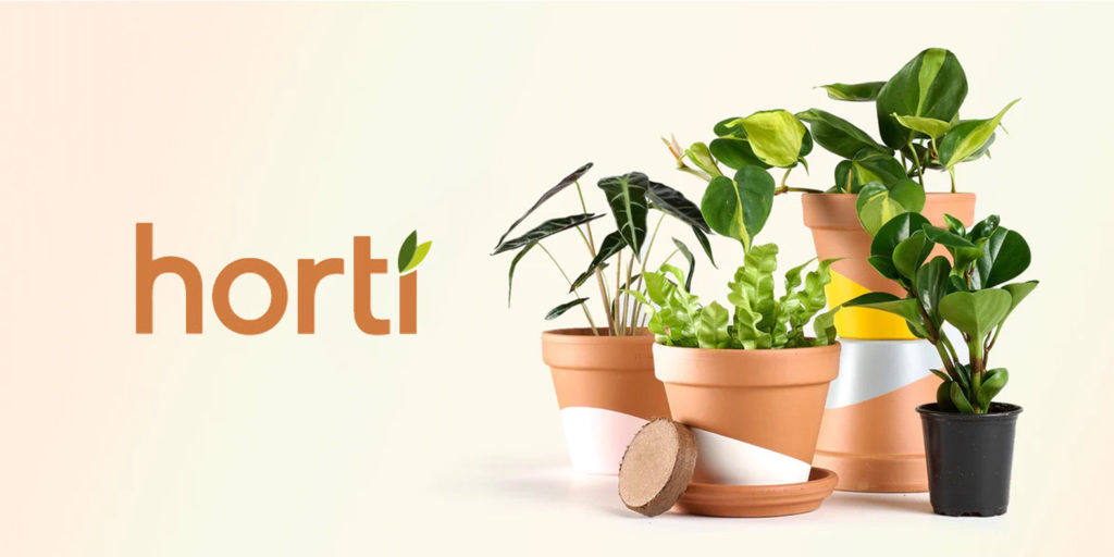 Several plants in terracotta pots next to the "Horti" logo