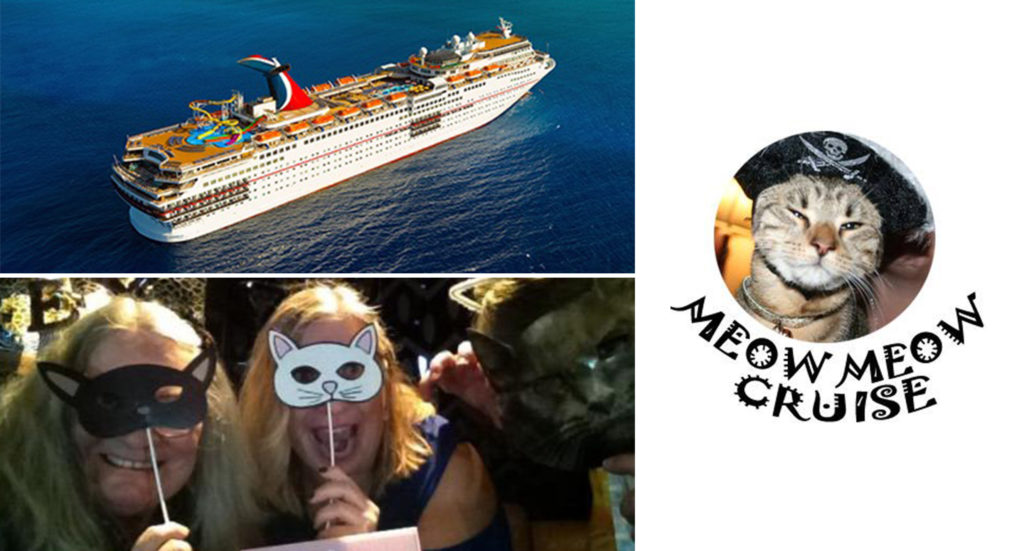 Images from the Meow Meow Cruise experience and the respective cruise logo
